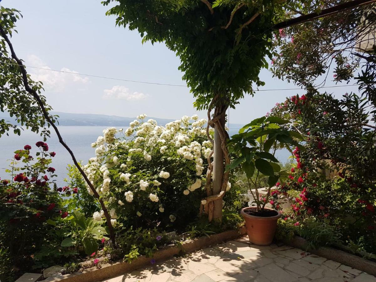 Apartments Kk Čelina Dış mekan fotoğraf